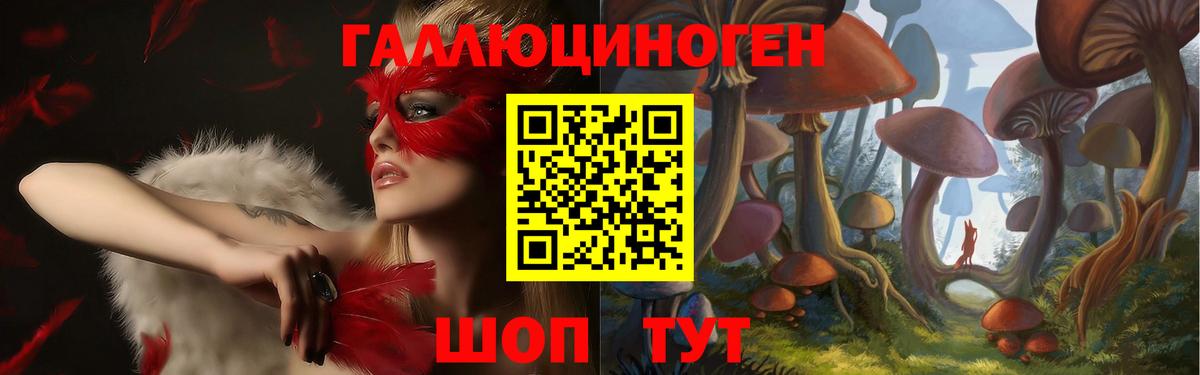 Псилоцибиновые грибы мицелий Тихвин